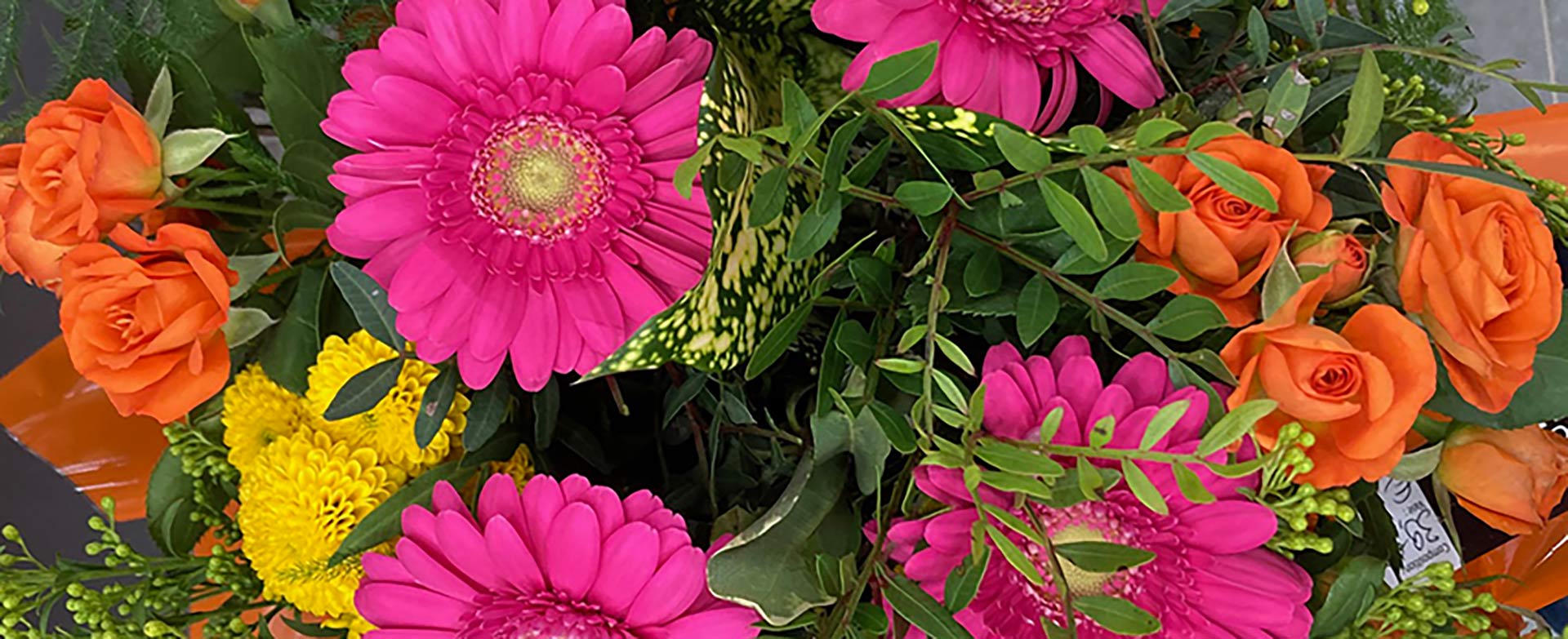 Fleurs-multicolor-Kalysea