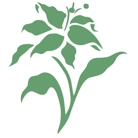 OFFRE-ABONNEMENT-KALYSEA