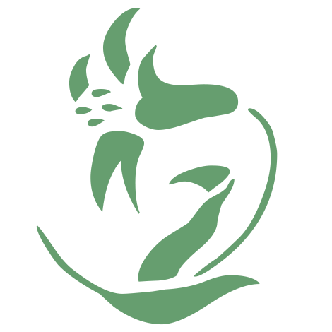 OFFRE-EVENEMENT-KALYSEA